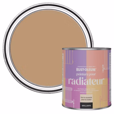 Peinture Marron Résistante à la chaleur pour Radiateur, Finition Brillante  – RUST-OLEUM – Argile 750ml