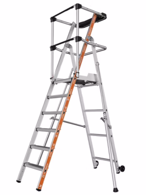 Plate-forme individuelle RAPTOR 3 marches GC sangle – Lot de 2 – Tubesca Comabi