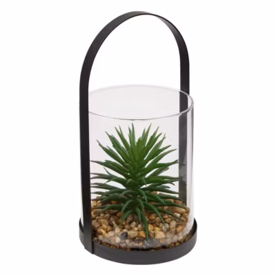 Terrarium Wilo 11x10cm- Vert cactus- Atmosphera