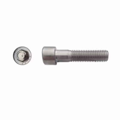 10 Vis Métaux Tête Cylindrique 6 Pans Creux CHC 24 x 70 mm – DIN 912 – Inox A4 – D-Work