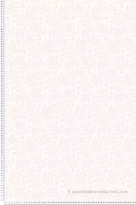 Papier peint intissé Nature L.10.05 x l.0.53 m.  – Réf. LTC-36200303
