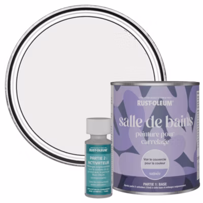 Peinture Grise pour carrelage de Salle de Bain, Satinée – RUST-OLEUM – Fleur 750ml