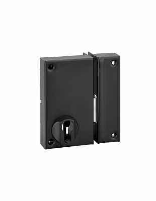 Boitier de serrure verticale en applique double entrée pour porte de cave, pêne seul, droite, axe 45mm, 75x130mm, noir – THIRARD