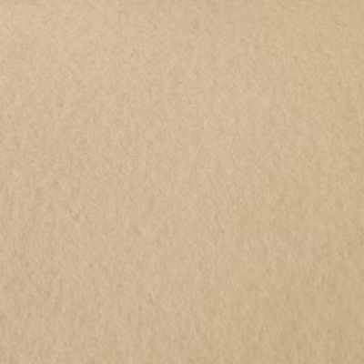 Moquette Stand Expo – Sable – Rouleau de 2m x 18m
