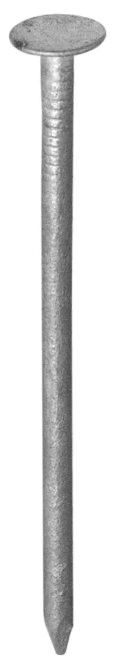Pointe Tête plate extra-large Galvanisé 3×60 Barquette de 1kg