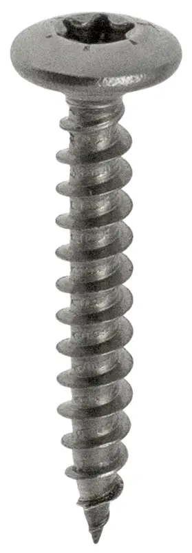 Vis penture TX Tête ronde large Inox A2 6×50 Blister de 10