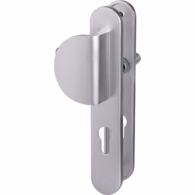 Poignée de porte palière – New camelia sup – Eurowale – Gris argent – Clé I – 195 mm
