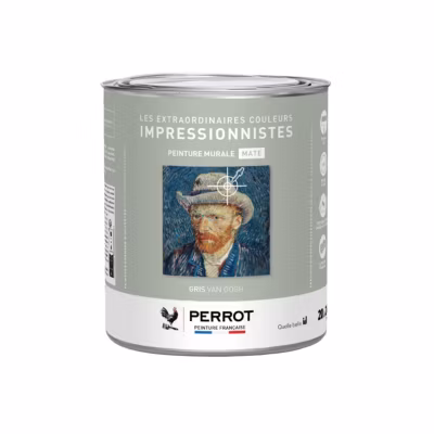 PEINTURE MURALE MATE GRIS VAN GOGH 2L  – PERROT