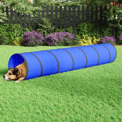 VIDAXL – Tunnel pour chien bleu – Polyester – Diametre 50 cm – Longueur 300 cm