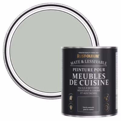 Peinture Verte pour Meubles de Cuisine, Mat – RUST-OLEUM – Vert craie 750ml