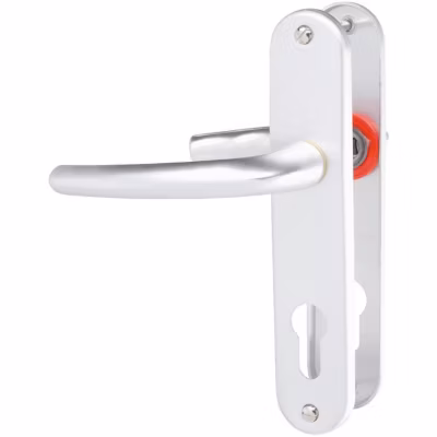 Poignée de porte d&rsquo;entrée – San diego – Hoppe Et Cie – Gris argent – Clé I – 165 mm