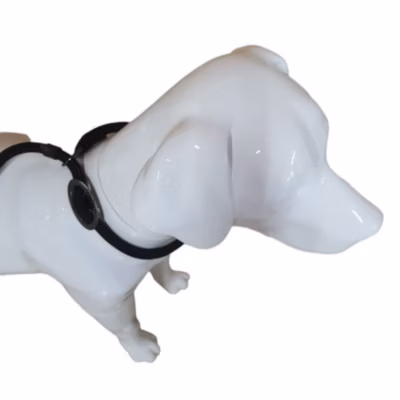 Laisse Aiden  D12 mm L130 cm anti traction, noir, pour chien