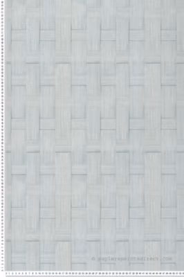 Papier peint vinyle sur intissé Trompe l&rsquo;oeil L.10.05 x l.0.53 m.  – Réf. LTC-51230604