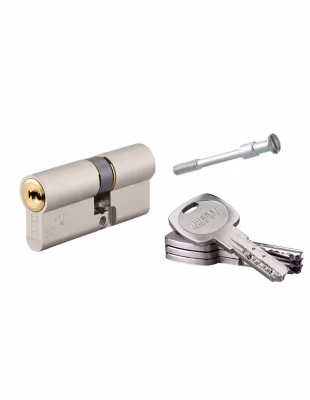 Cylindre de serrure double entrée Transit 2 pour Trimax A2P, 35x30mm, nickel, 4 clés – THIRARD