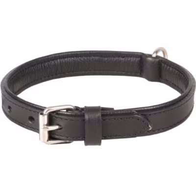 Collier Cuir  S/M 30-37 cm ARIZONA noir pour chien